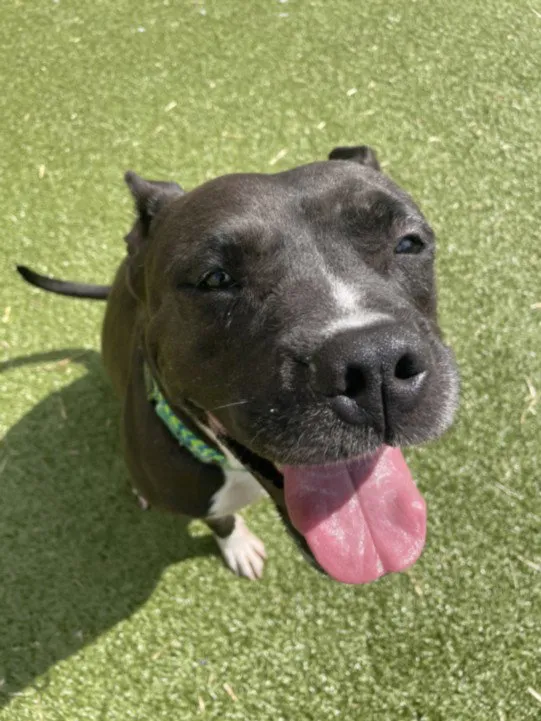 Sarah Jessica Barker - Photo 1