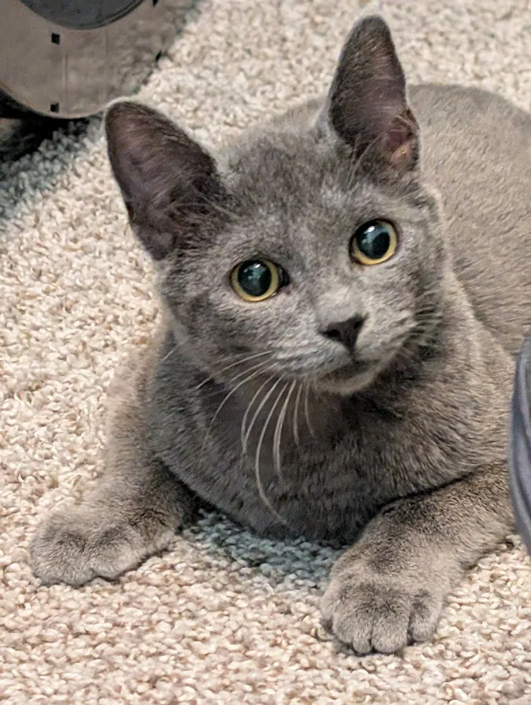 James T Kirk - Photo 1