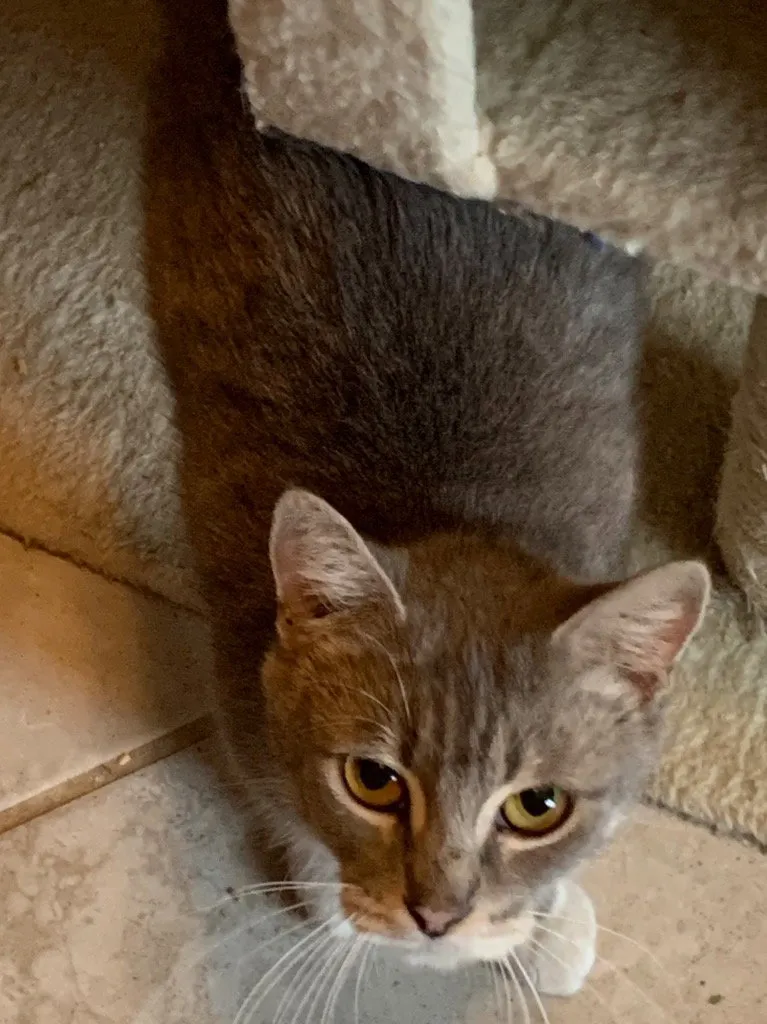 Mama Easter - Photo 1