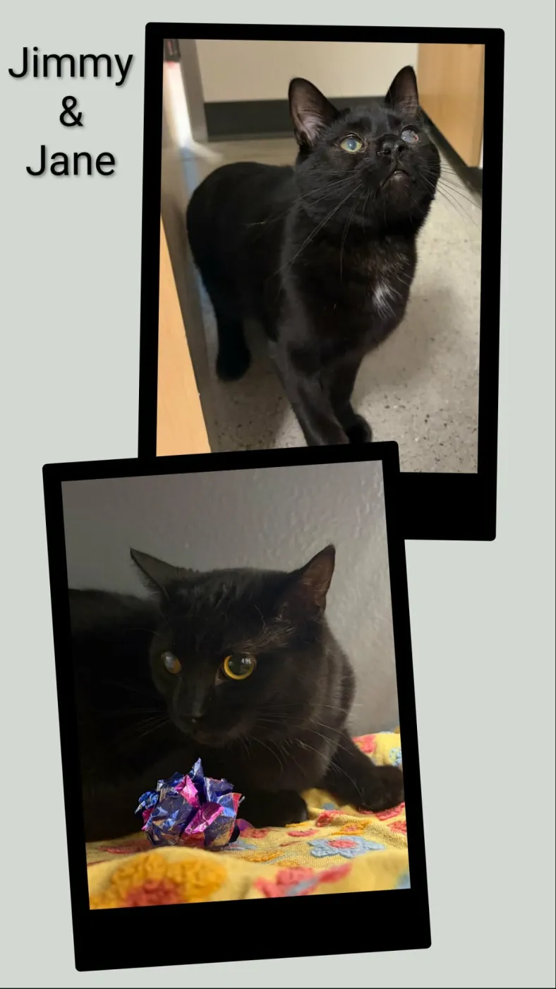 Jimmy & Jane - Photo 1