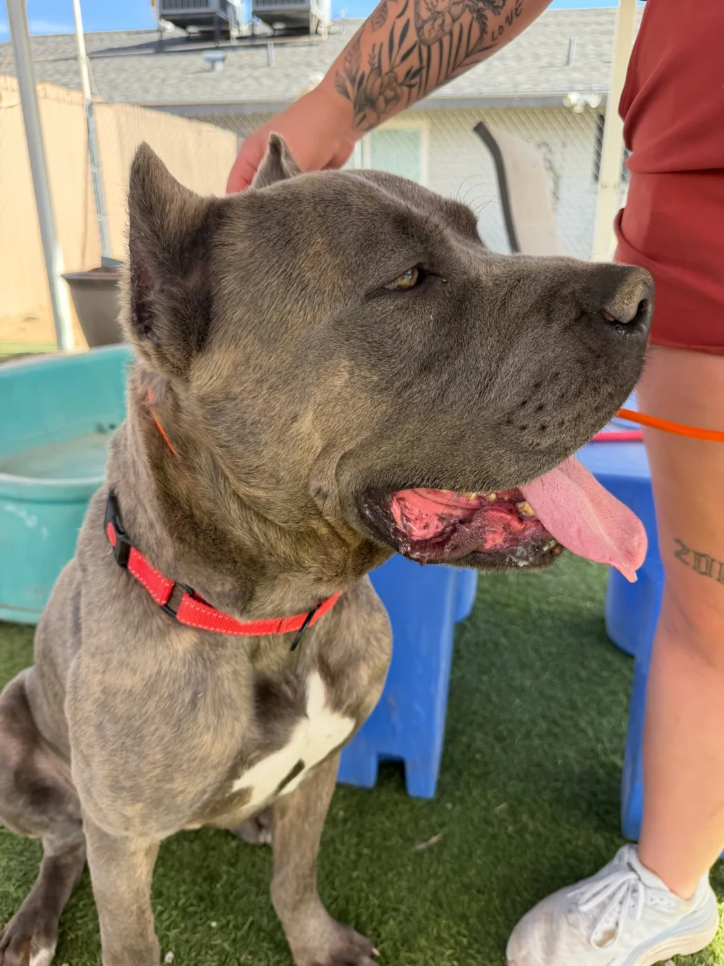 James Dean - Photo 1