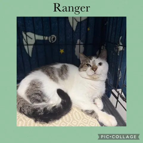 Ranger