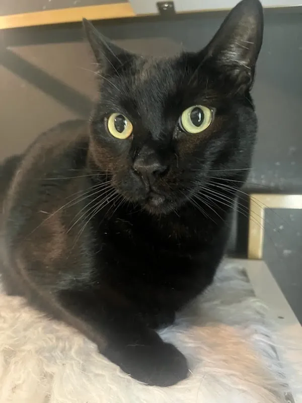 Otis - Photo 1