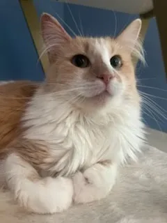 Taylor Swift - Photo 1