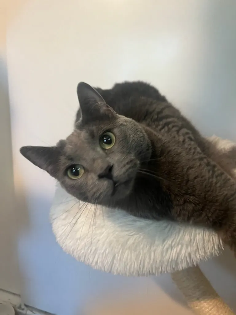 Tia - Photo 1