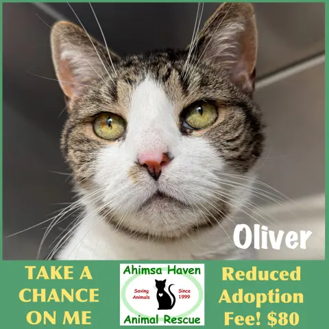 Oliver