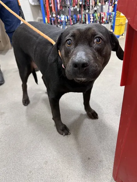 Bella Trix - Photo 1