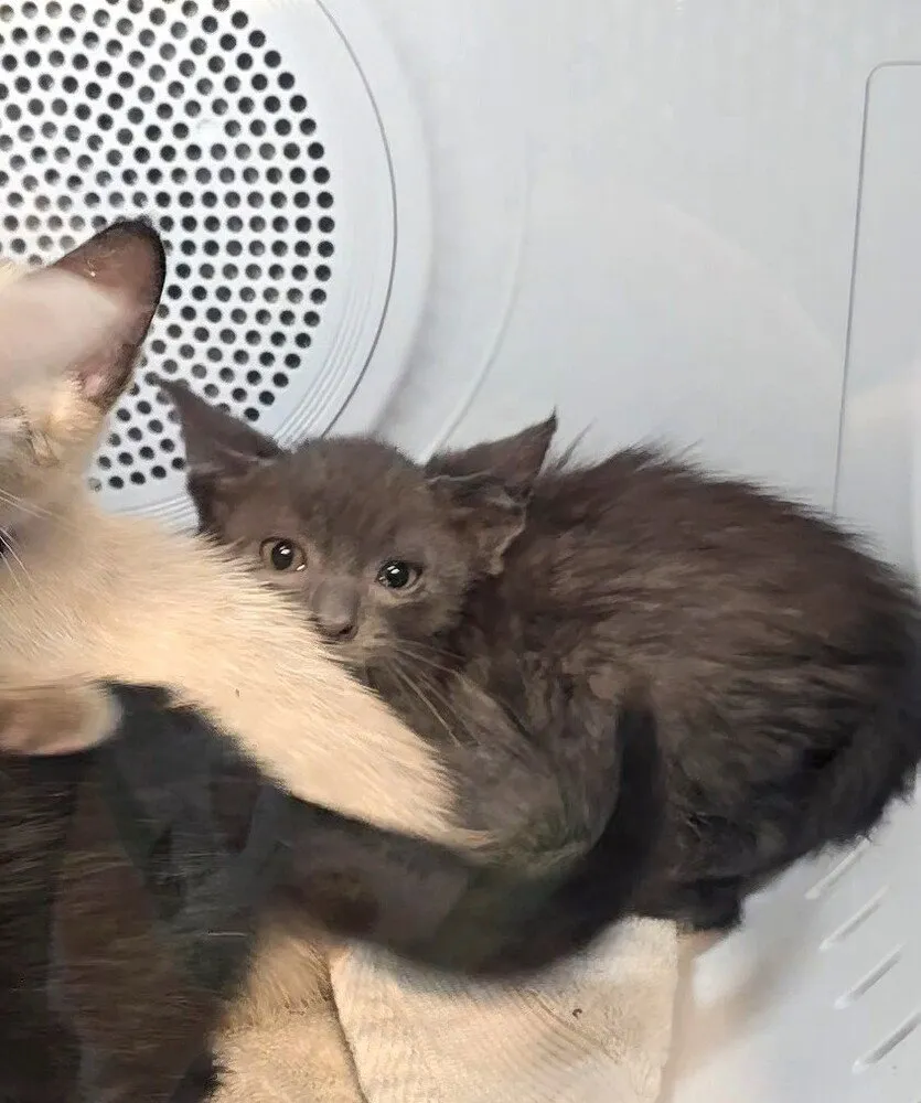 North Beach - Photo 1