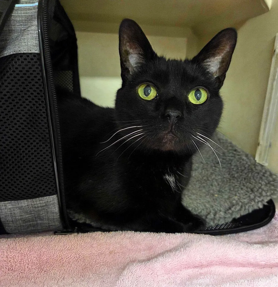 Catherine O'Hara - Photo 1