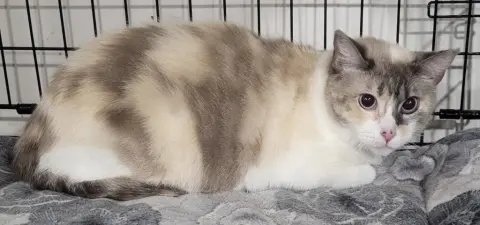 Tina