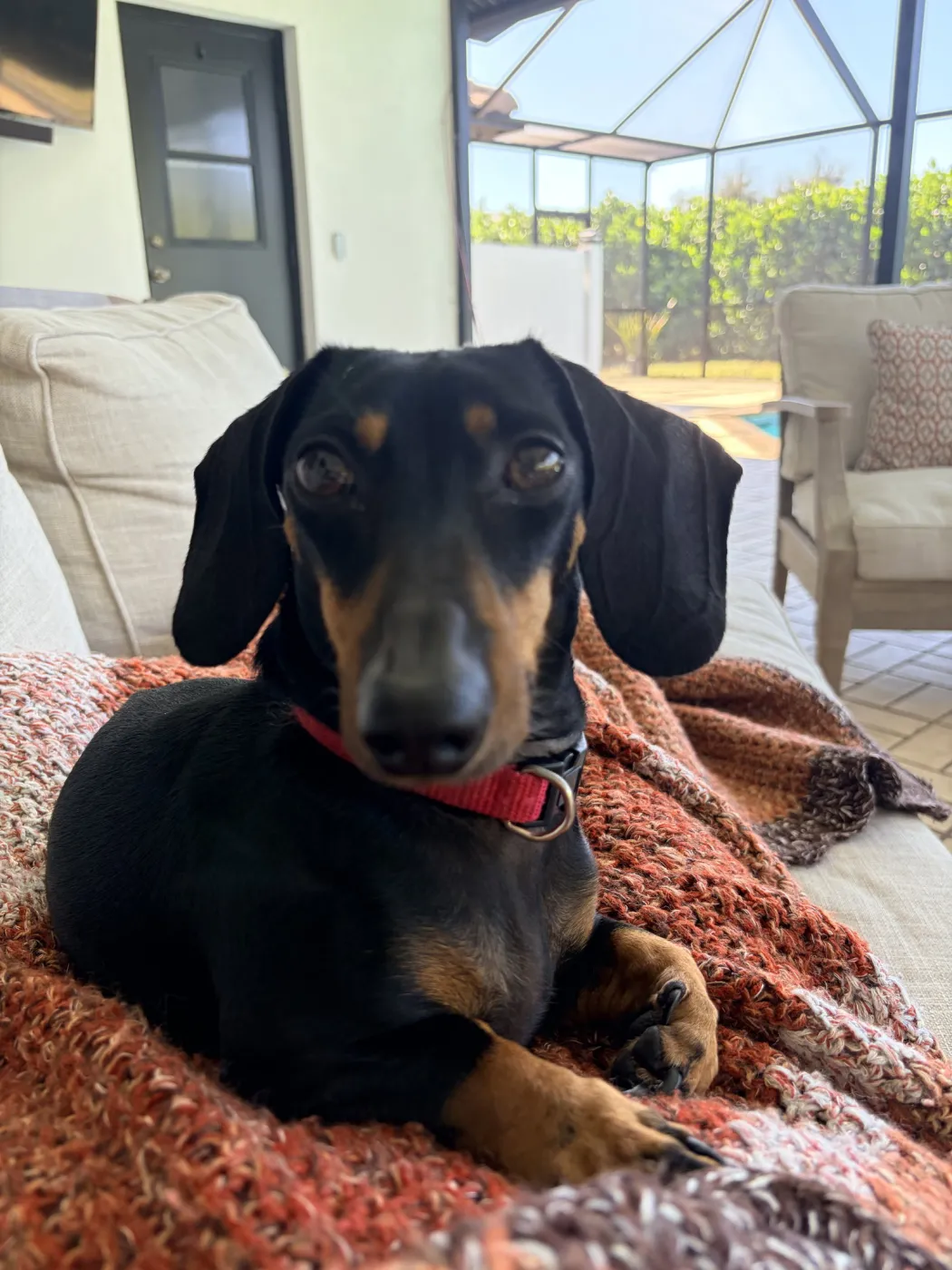 Max - Photo 1