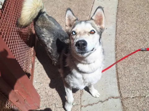 Luna