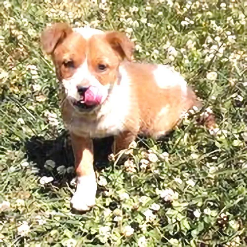 Calypso - Photo 1