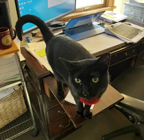 Pip
