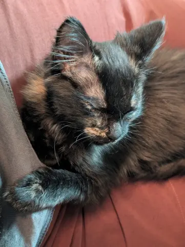 Midna
