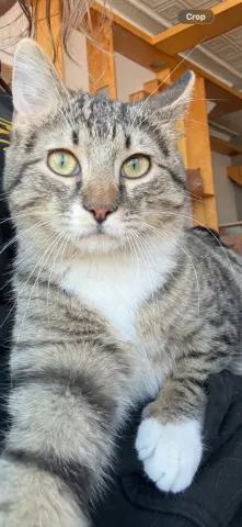 Astro