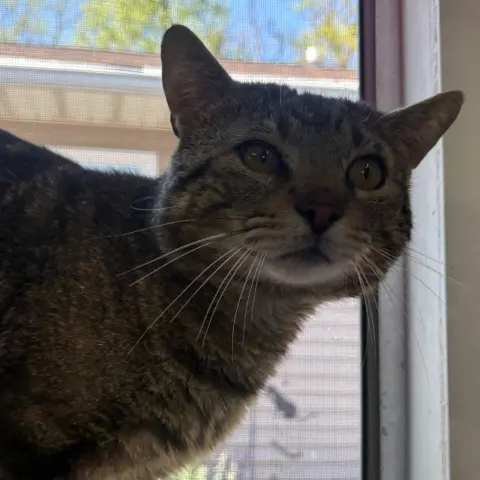 Quincy