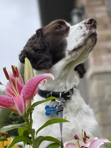 Farley