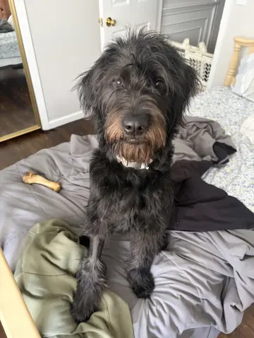 Murphy