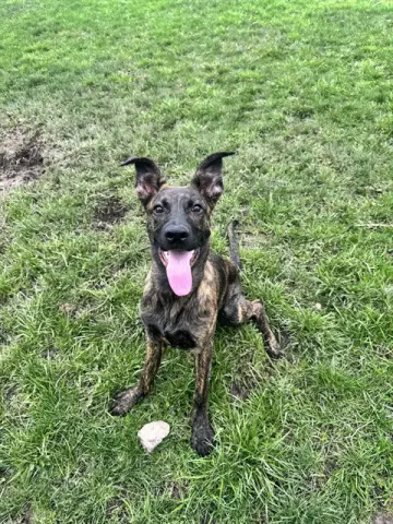 Knox