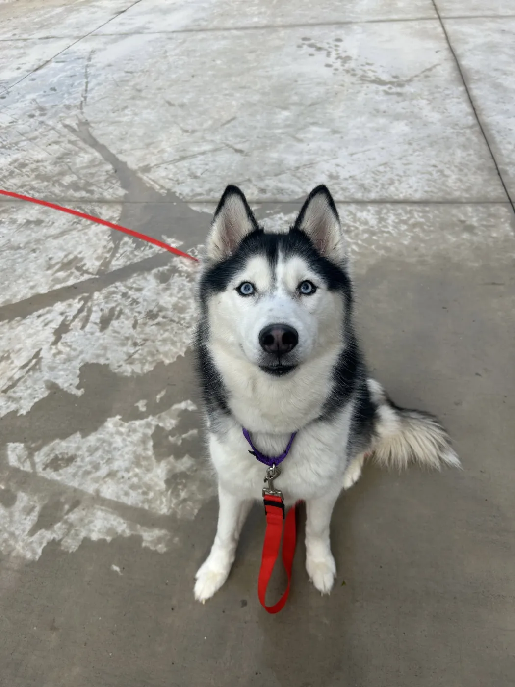 Keya - Photo 1
