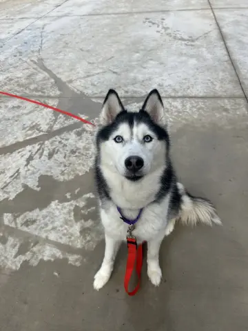 Keya