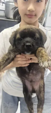 Mooshu