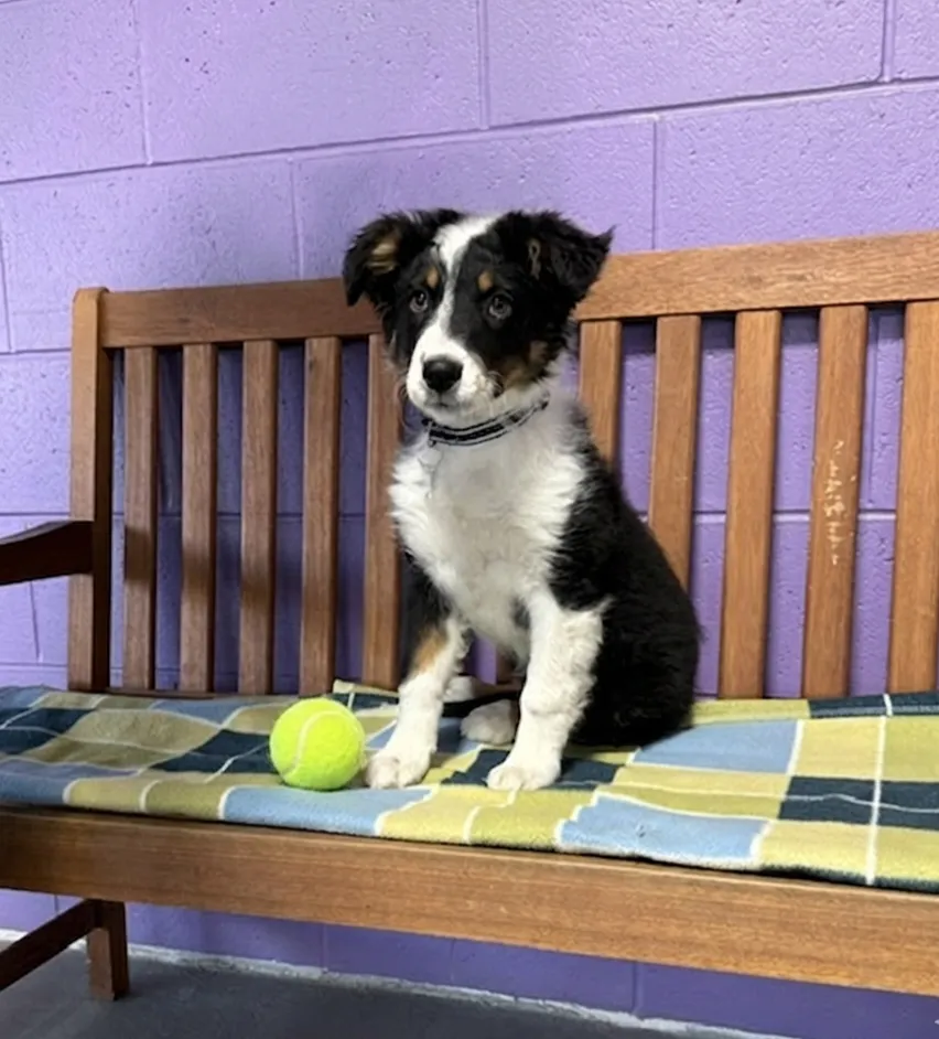 Jada - Photo 1