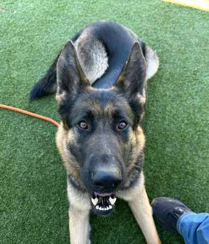 Della