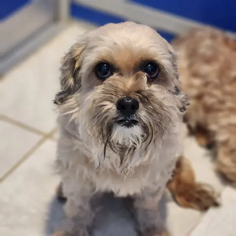 Arthur