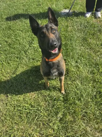 Gunner