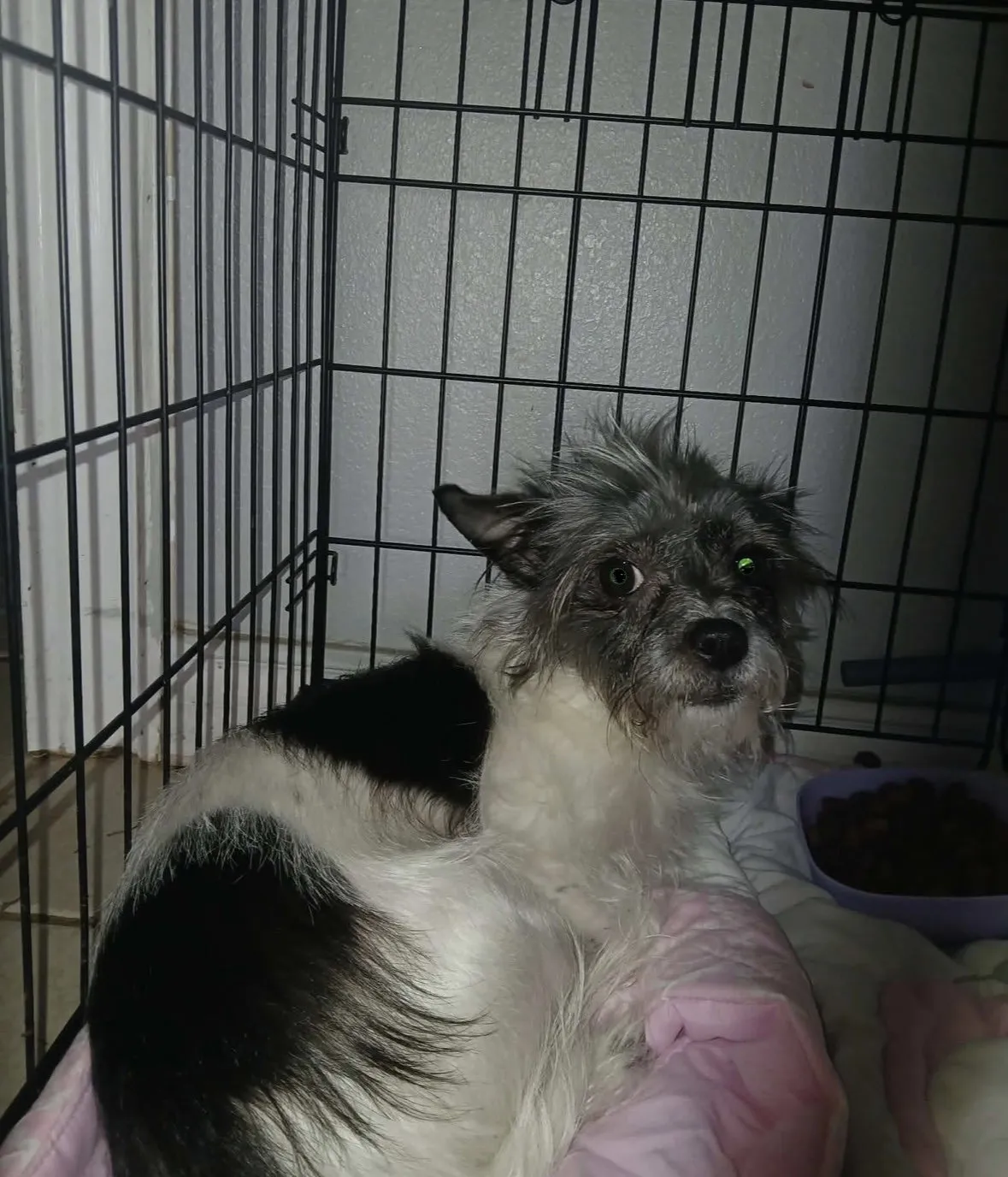 Zoey - Photo 1