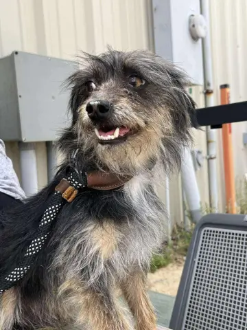 Billy