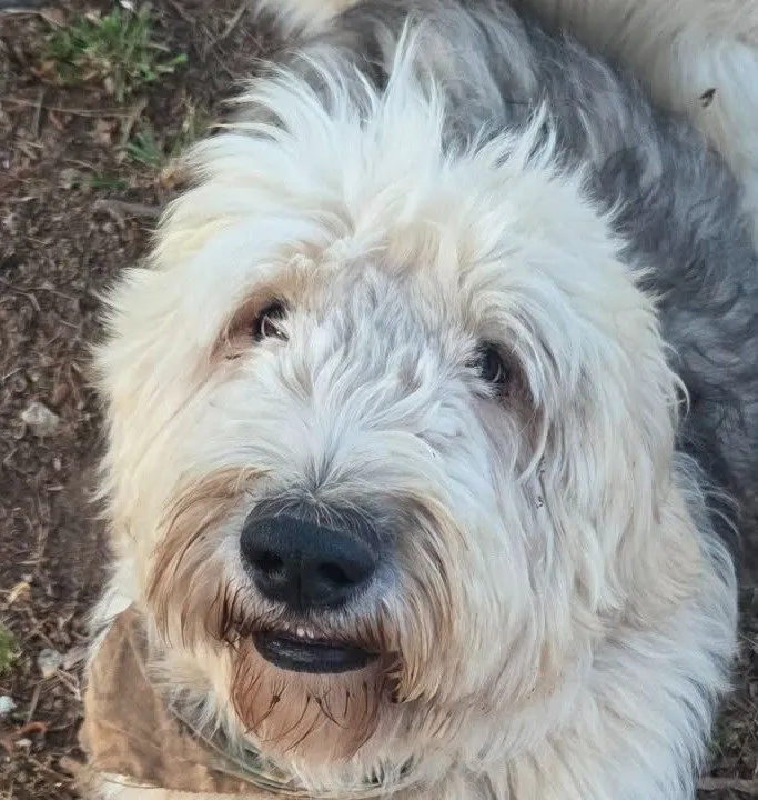 Truffles - Photo 1