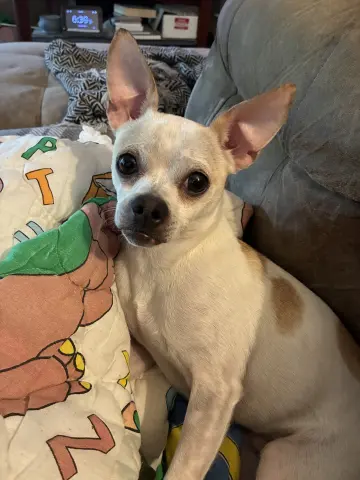Bill-E