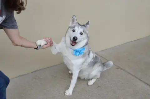 Luna
