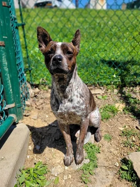 Millie - Photo 1