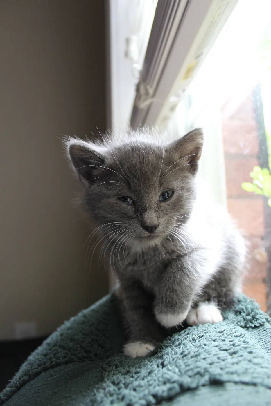 Rumor - Photo 1