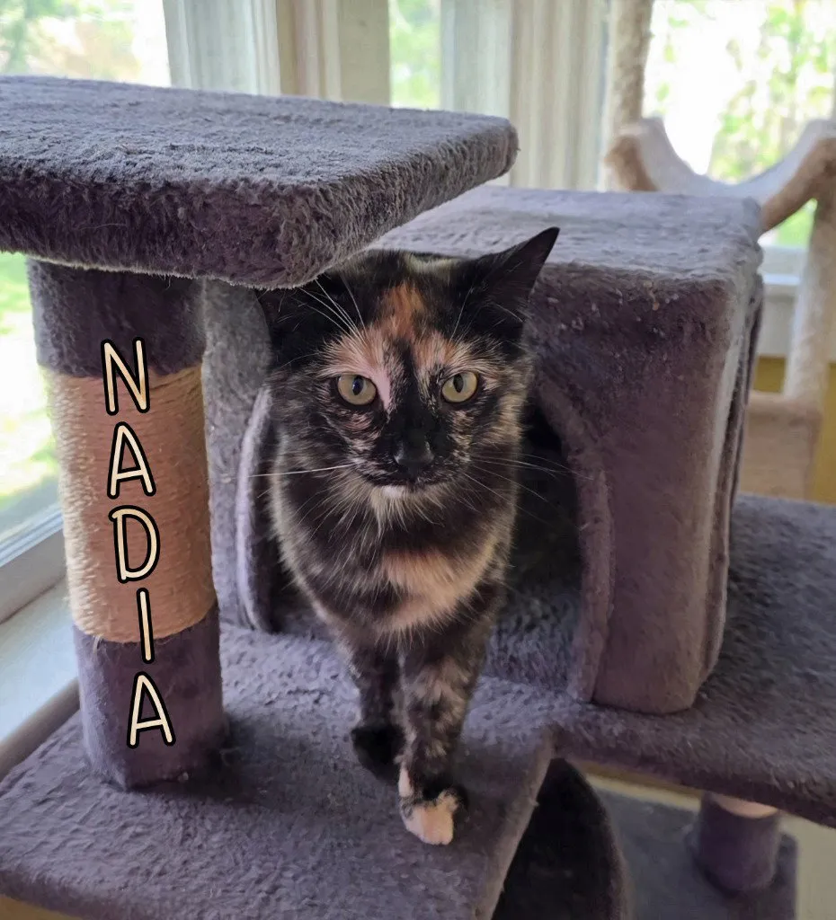 Nadia - Photo 1