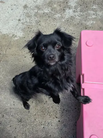 Max