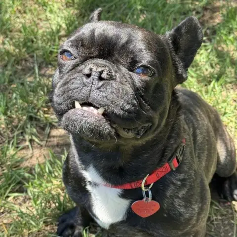 Opie