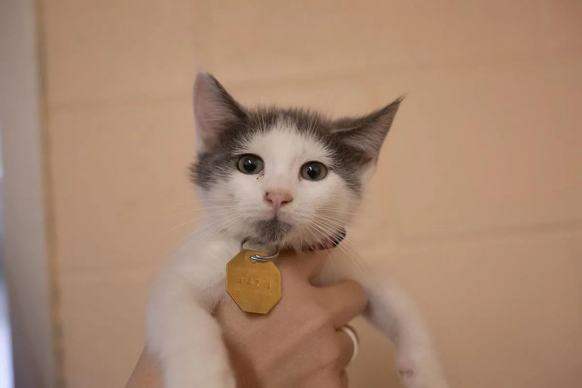 Zeus - Photo 1