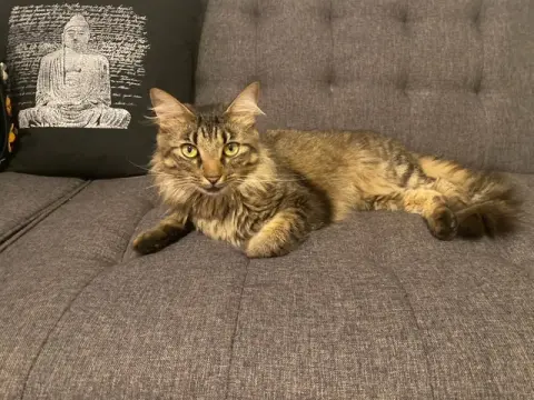 Lola