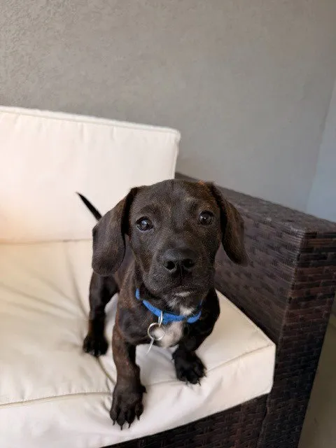 Luigi - Photo 1