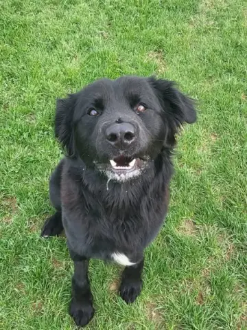 Benny