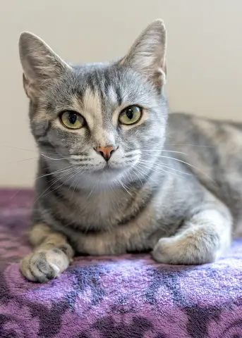 Hera