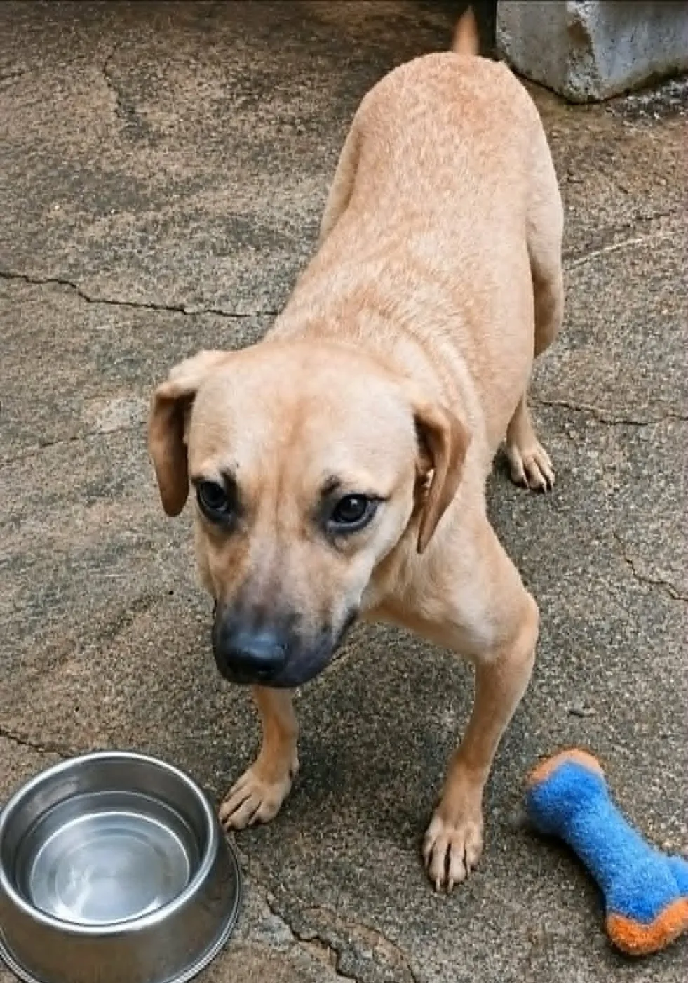 Max - Photo 1
