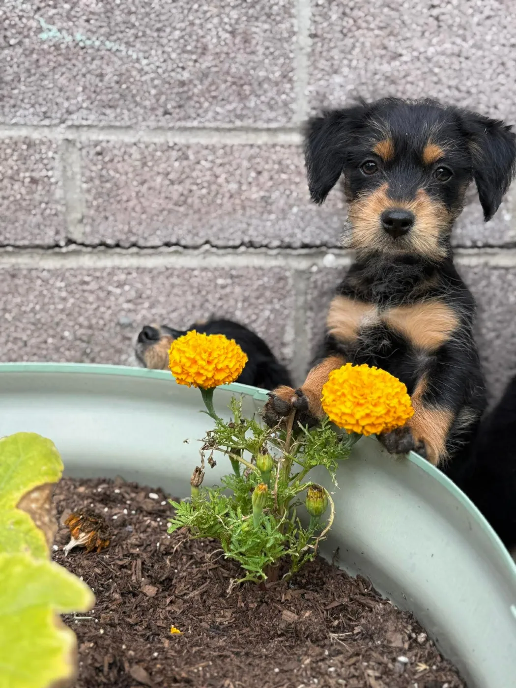 Velma - Photo 1