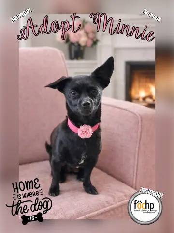 Minnie