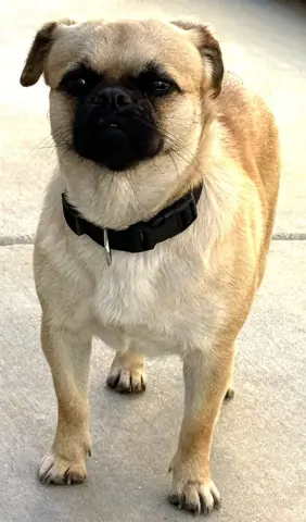 Kona
